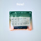 Into | TRANSIT × Into Oil Set